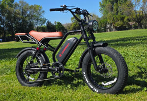 Kingbull Ranger Electric Bike